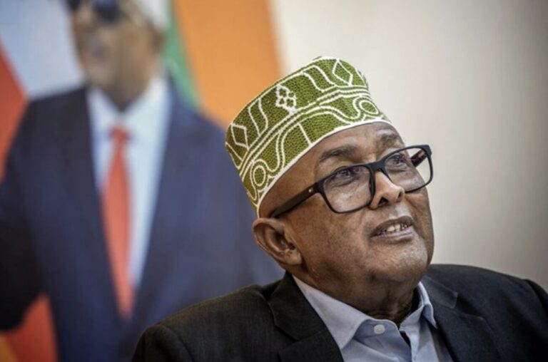 Exclusive: Somaliland president says recognition of state ‘on the horizon’ following Trump talks